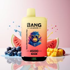 Bang Leader 45000 Puffs Mustikkameloni Mansikka Mango 5% Tukkukauppa Suomi