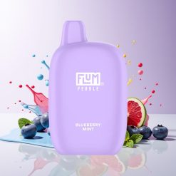FLUM Pebble 6000 Mustikka Mintti 10ml Tukkukauppa Suomi