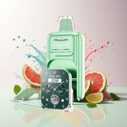 JNR VapeWatch 30000 Puffs Miami Mint 1000mAh Tukkukauppa Suomi